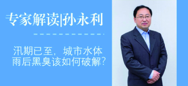 汛期已至，城市水體雨后黑臭問題該如何破解？